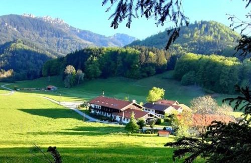 Aschau im Chiemgau Apartamento | Gschwendtnerhof App25 Schaub