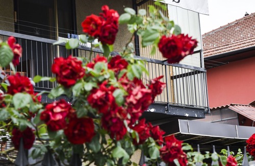 Chivasso Casa | Guest Home, fully furnished mini apartment, sleeps 6 plus one.