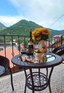 Borjomi Apartamento | Guest house BORJOMULA