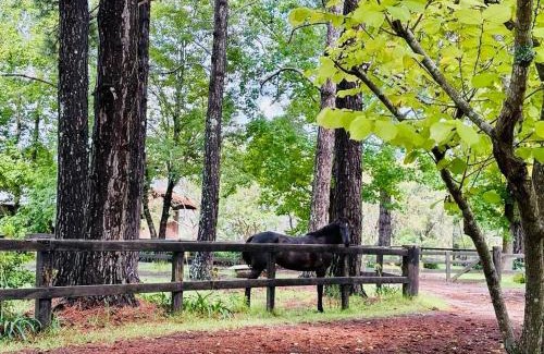 Somersby Casa | Guest house in Somersby