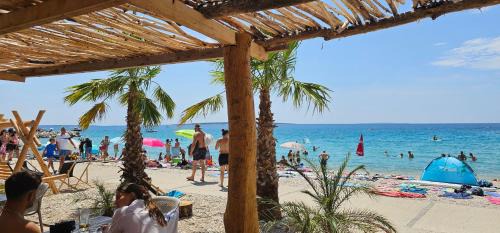 Gajac Casa | Guest House Jasna