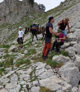 Berat Cabina | Guest House Qafe Dardha - Tomorr National Park
