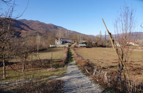 Diber Casa | Guesthouse Arber