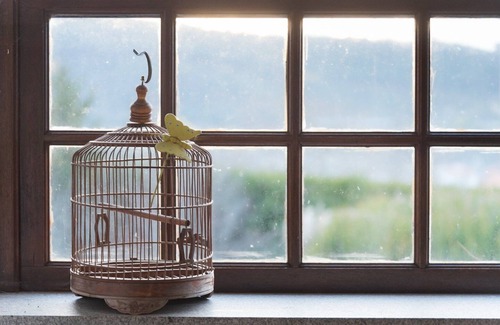 Paredes de Coura Apartamento | GuestReady - Casa das Alminhas