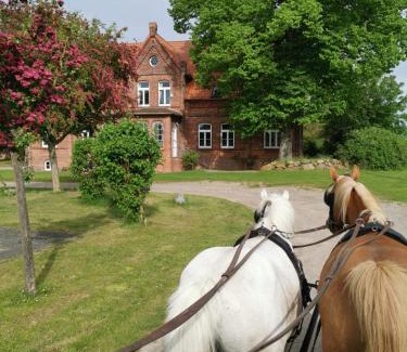Thorstorf Apartamento | Gutshaus Thorstorf FeWo Poel
