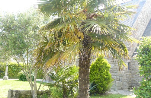 Saint-Philibert Chalet De Esquí | GWEVAZIG - Casa de vacaciones con jardín cerca de la playa - S22