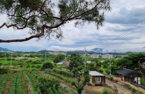 Gyeongju Casa | Gyeongju Eodi-aeseo Watni Pension