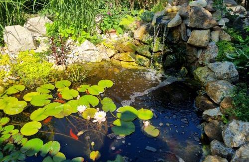 Zamardi Casa | Häuschen Viktória