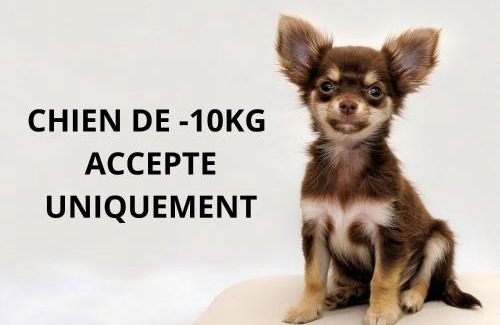 Lucciana Hotel | Hôtel Spa Restaurant La Madrague