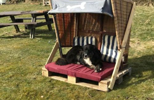 Suddorf Apartamento | Hüs Sanskiin Ferienwohnung *Eerdglüper*