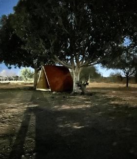 Sonora central Otro | Hacienda Corza