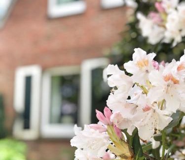 Klein Scharrel Apartamento | Haferland - Ferienwohnung Fritz, Nähe Hof Oberlethe