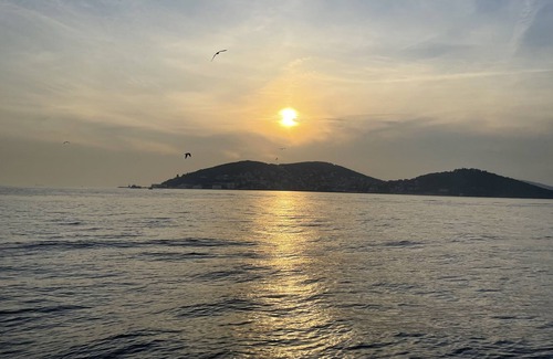 Ramallah Casa | Hammad guests house