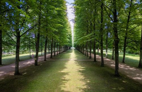 Celle Hotel | Hampton By Hilton Celle