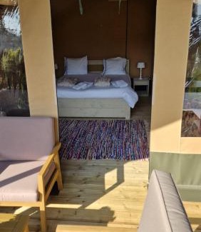 Sint-Andries Otro | Happiness