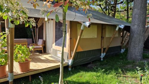 Sint-Andries Otro | Happiness