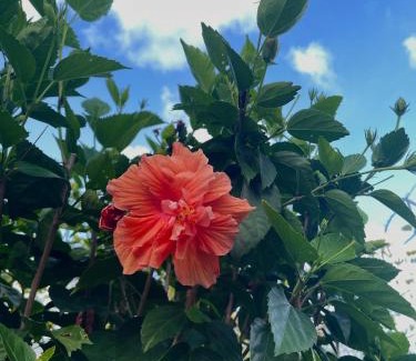 Marigot Apartamento | Happy-Nest (First floor)