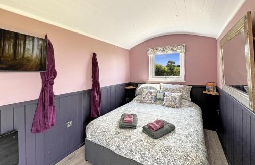 South Molton Cabina | Hares Hideaway Shepherds Hut