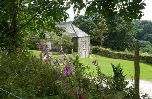 Blisland Casa | Harry