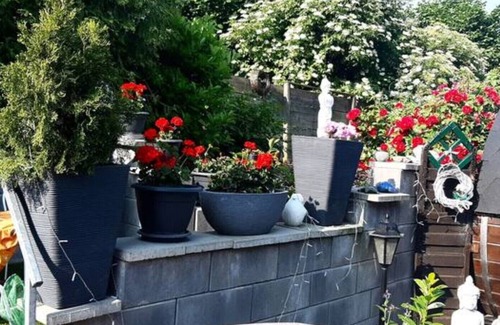 Barbis Apartamento | Harzer Bergblick *ALL INCLUSIVE* 120sqm up to 10 pers. - sauna and whirlpool