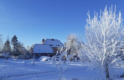 Lischow Apartamento | Haus 2 Linden