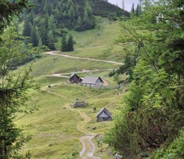 Tragoß-Sankt Katharein Cama Y Desayuno | Haus Bergblick am Grünen See