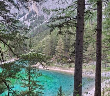Tragoß-Sankt Katharein Cama Y Desayuno | Haus Bergblick am Grünen See