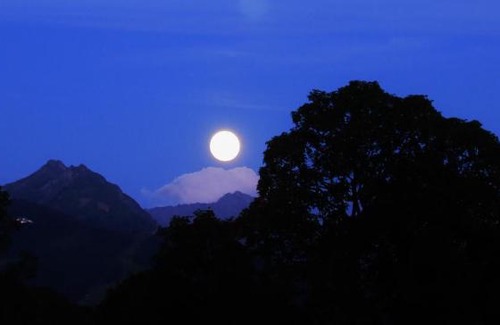 Schildlehen Cama Y Desayuno | Haus Friedeck