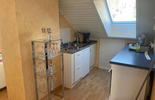 Hohegeiß Apartamento | Haus Harzlich