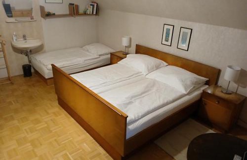 Weissbriach Casa | Haus Lois