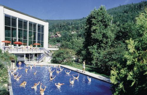 Bad Wildbad Apartamento | Haus Mühlgrund