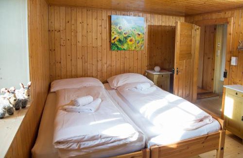 Schmitten Casa | Haus Schmitten - Davos