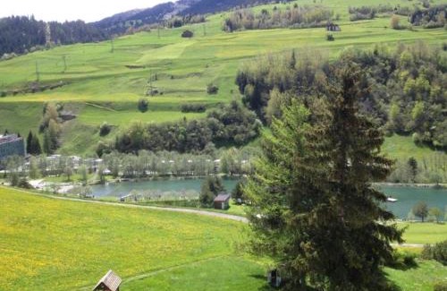 Savognin Apartamento | Haus Viols 54