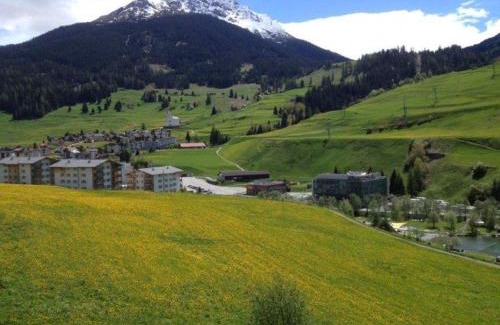 Savognin Apartamento | Haus Viols 54