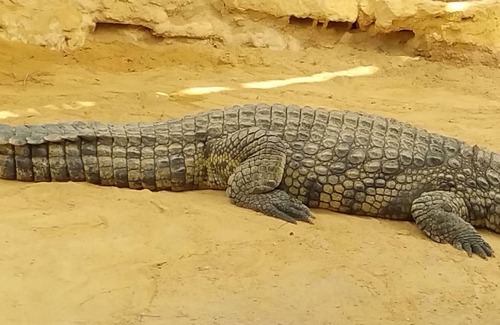 Vallon-Pont-d'Arc Cabaña | Pase unas buenas vacaciones en las gargantas del Ardèche
