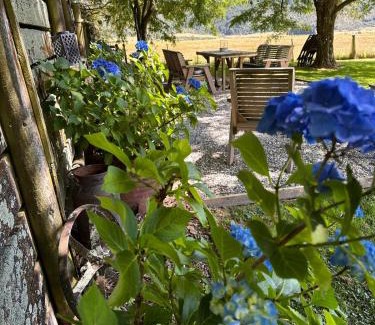 Makarora Apartamento | Hawkshead Boutique Studio & Gardens