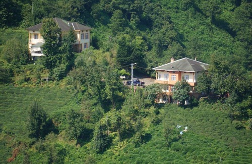 Cayeli Casa | Haytef Erenler Konut