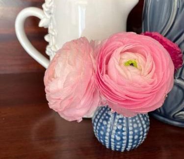 Goulburn Apartamento | Hazel House Goulburn