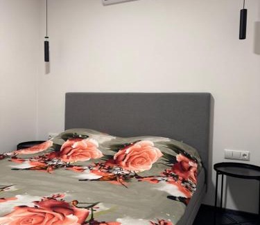 Liberty Avenue Apartamento | Heart of Kaunas - Cozy Loft with Wi-Fi