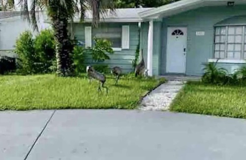 Holiday Casa | Heavenly Holiday House by the Gulf