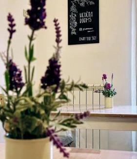 Agerola Cama Y Desayuno | HedèraRooms
