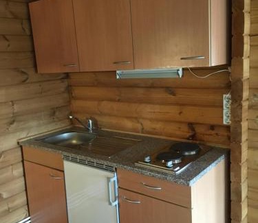 Reykholt Apartamento | Heidi Cabin