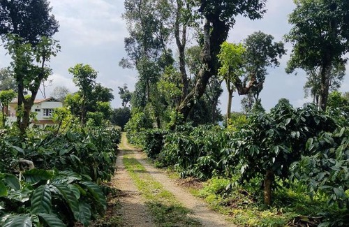 Madikeri Casa | Heights Farm Stay - Coffee Estate Stay