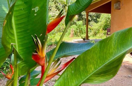 Kathaluwa Casa | Hello Homestay