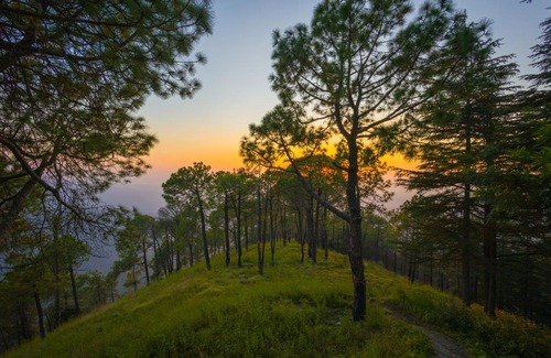Shimla Casa | Hemkunj Fern by ELIVAAS