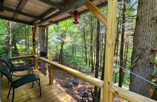 Coalmont Casa | Hemlock Cabin at Ranger Creek