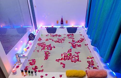 Arpora Apartamento | Heritage Exotica - Studio Apartment with Bathtub 500 sqft