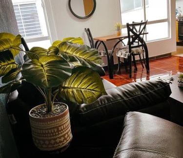 Barrio Doctores Apartamento | Hermoso departamento céntrico