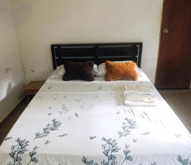 Palomino Casa | Hermoso Palomino