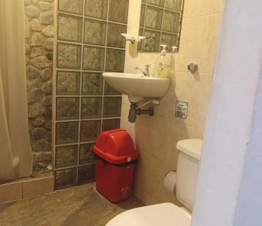 Palomino Casa | Hermoso Palomino